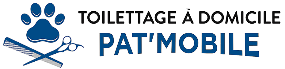 Logo Pat'mobile